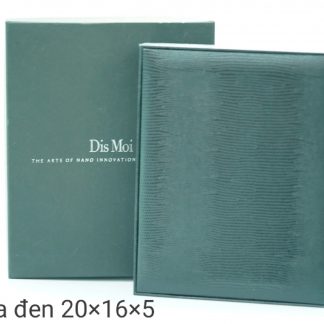 Hộp Trang Sức Si Nhật Dis Moi – N52