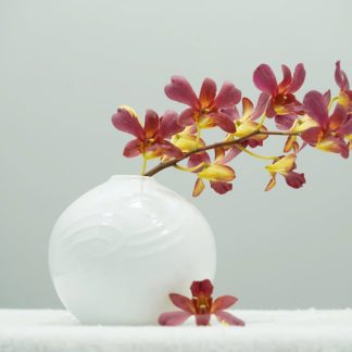 [ HÀNG SECONDHAND ] Bình Gốm Sứ Tối Giản – Secondhand – GS84